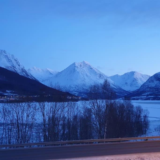 Ramfjord Apartment Tromsø Dış mekan fotoğraf