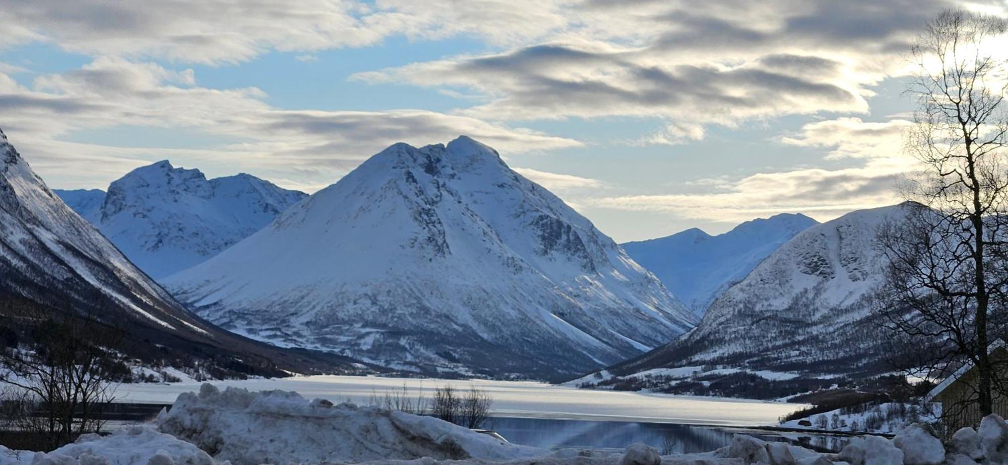 Ramfjord Apartment Tromsø Dış mekan fotoğraf